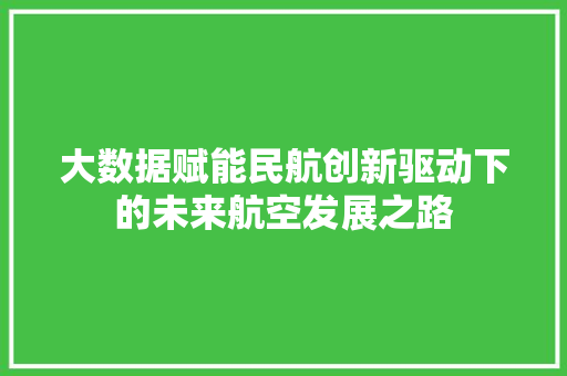 大数据赋能民航创新驱动下的未来航空发展之路