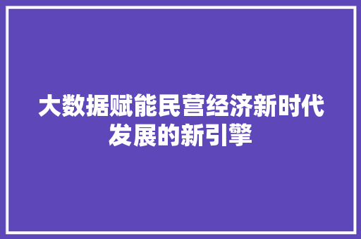 大数据赋能民营经济新时代发展的新引擎