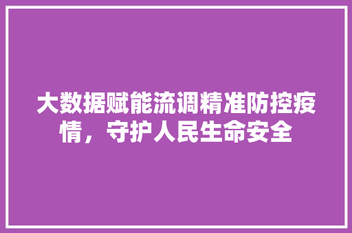 大数据赋能流调精准防控疫情，守护人民生命安全