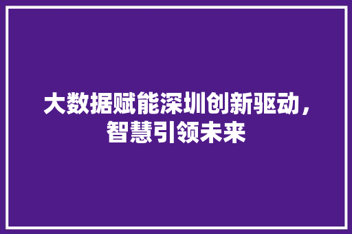 大数据赋能深圳创新驱动，智慧引领未来