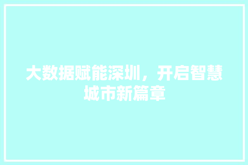大数据赋能深圳，开启智慧城市新篇章