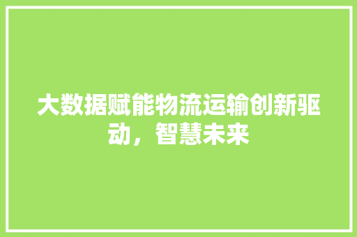大数据赋能物流运输创新驱动，智慧未来