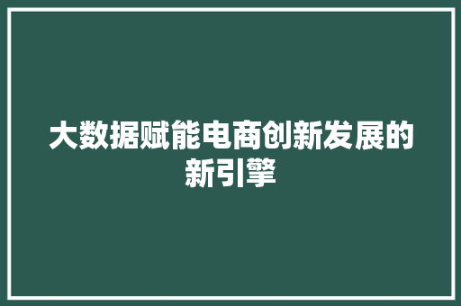 大数据赋能电商创新发展的新引擎