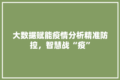 大数据赋能疫情分析精准防控，智慧战“疫”