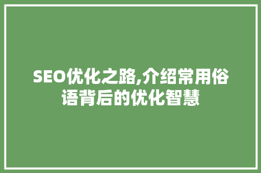 SEO优化之路,介绍常用俗语背后的优化智慧