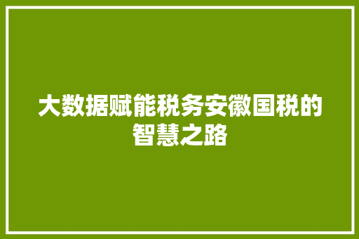 大数据赋能税务安徽国税的智慧之路