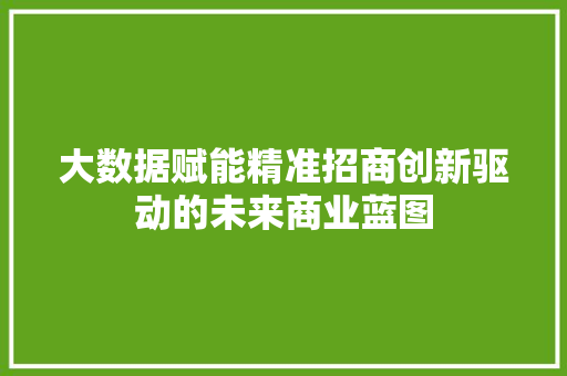 大数据赋能精准招商创新驱动的未来商业蓝图