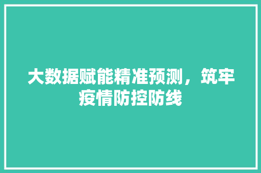 大数据赋能精准预测，筑牢疫情防控防线