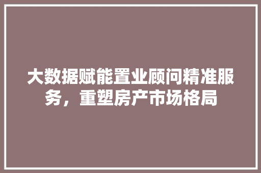 大数据赋能置业顾问精准服务，重塑房产市场格局