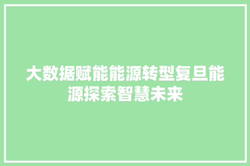 大数据赋能能源转型复旦能源探索智慧未来
