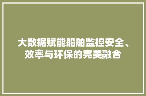大数据赋能船舶监控安全、效率与环保的完美融合
