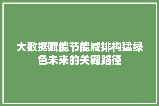 大数据赋能节能减排构建绿色未来的关键路径