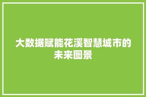 大数据赋能花溪智慧城市的未来图景