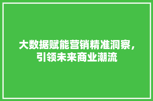 大数据赋能营销精准洞察，引领未来商业潮流