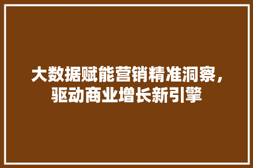 大数据赋能营销精准洞察，驱动商业增长新引擎