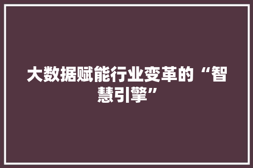 大数据赋能行业变革的“智慧引擎”