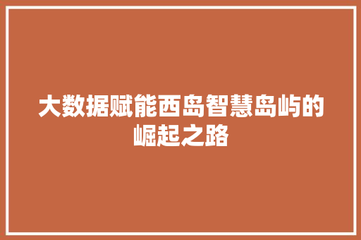 大数据赋能西岛智慧岛屿的崛起之路