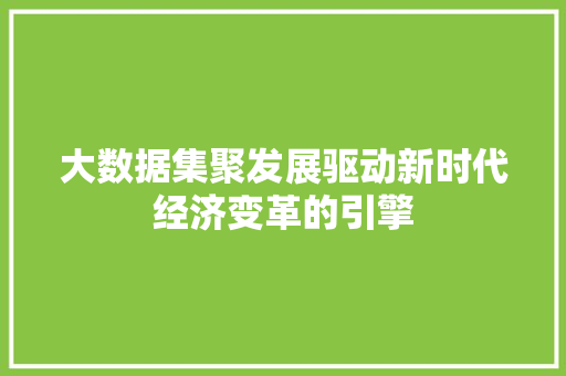 大数据集聚发展驱动新时代经济变革的引擎