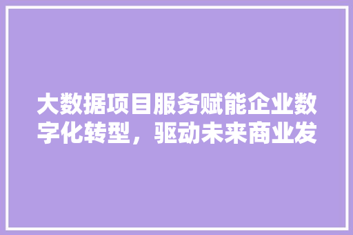 大数据项目服务赋能企业数字化转型，驱动未来商业发展