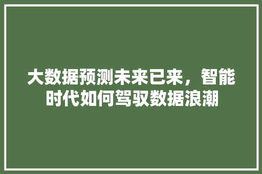 大数据预测未来已来，智能时代如何驾驭数据浪潮