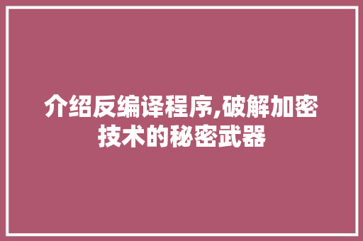 介绍反编译程序,破解加密技术的秘密武器 后端技术