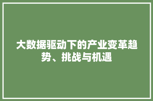 大数据驱动下的产业变革趋势、挑战与机遇