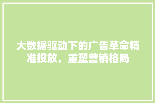 大数据驱动下的广告革命精准投放，重塑营销格局