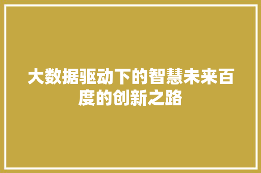 大数据驱动下的智慧未来百度的创新之路