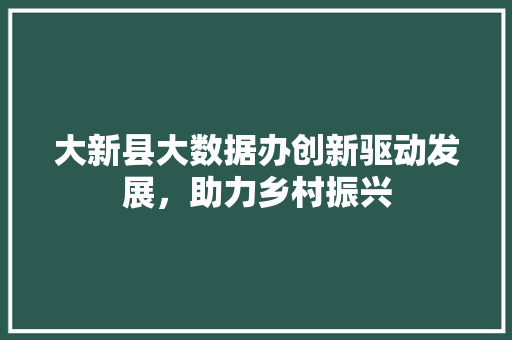 大新县大数据办创新驱动发展，助力乡村振兴