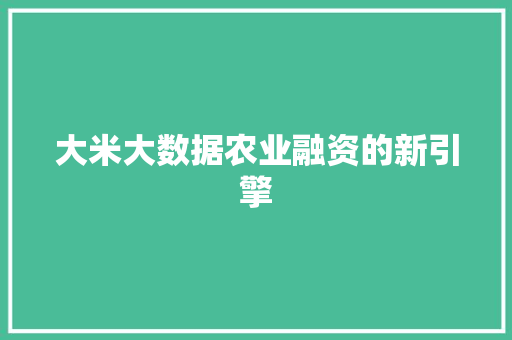 大米大数据农业融资的新引擎