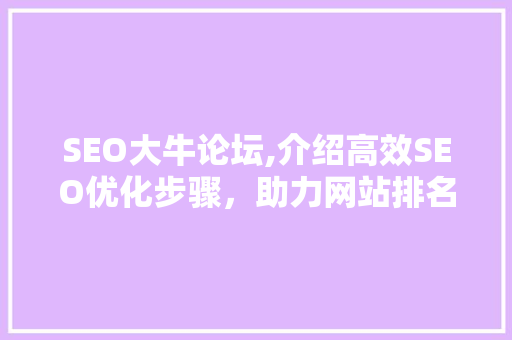SEO大牛论坛,介绍高效SEO优化步骤，助力网站排名腾飞 项目报告
