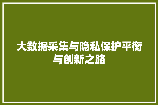 大数据采集与隐私保护平衡与创新之路