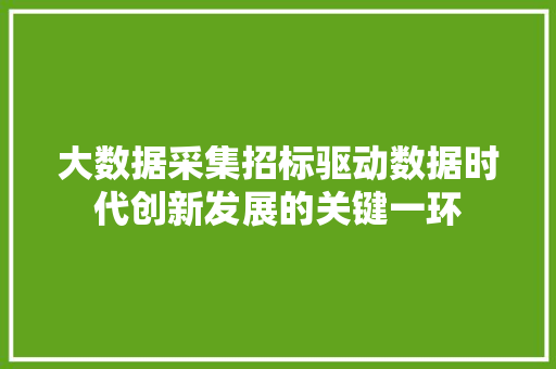 大数据采集招标驱动数据时代创新发展的关键一环