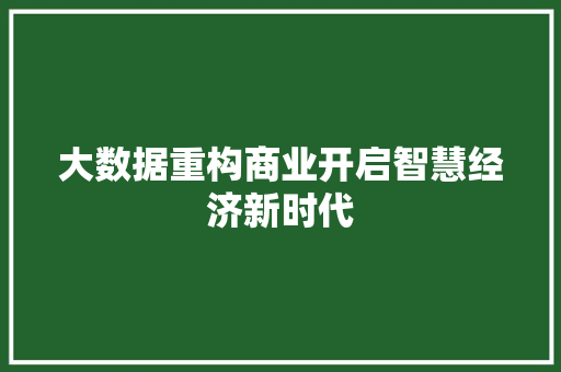 大数据重构商业开启智慧经济新时代