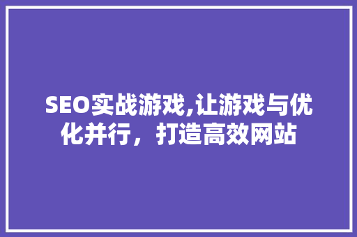 SEO实战游戏,让游戏与优化并行，打造高效网站 网站建设