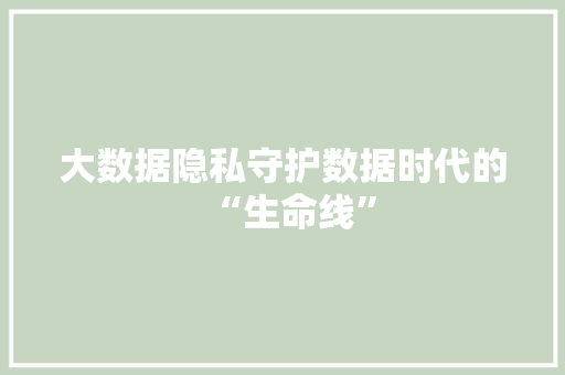 大数据隐私守护数据时代的“生命线”