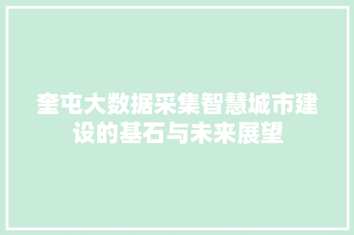 奎屯大数据采集智慧城市建设的基石与未来展望