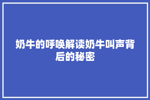 奶牛的呼唤解读奶牛叫声背后的秘密