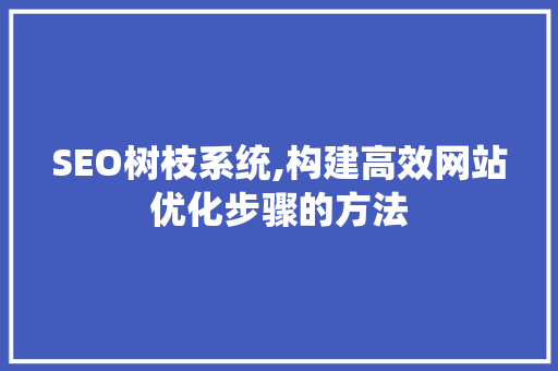 SEO树枝系统,构建高效网站优化步骤的方法 项目报告