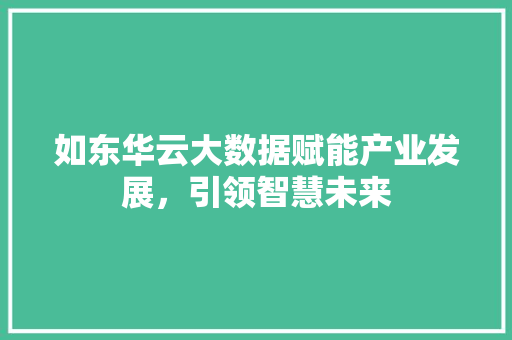 如东华云大数据赋能产业发展，引领智慧未来