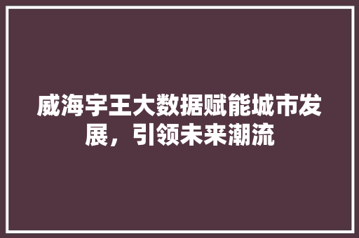 威海宇王大数据赋能城市发展，引领未来潮流