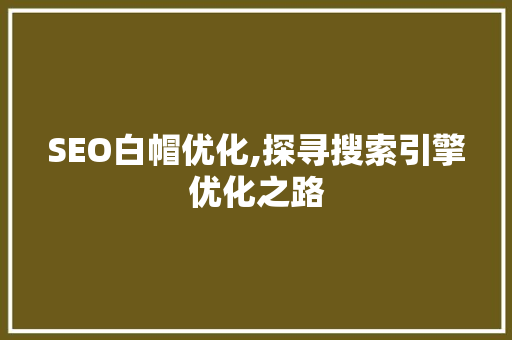 SEO白帽优化,探寻搜索引擎优化之路 缓存Redis
