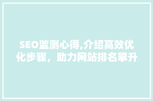 SEO监测心得,介绍高效优化步骤，助力网站排名攀升 网站建设