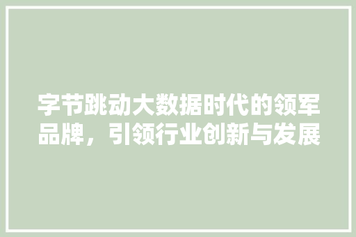 字节跳动大数据时代的领军品牌，引领行业创新与发展