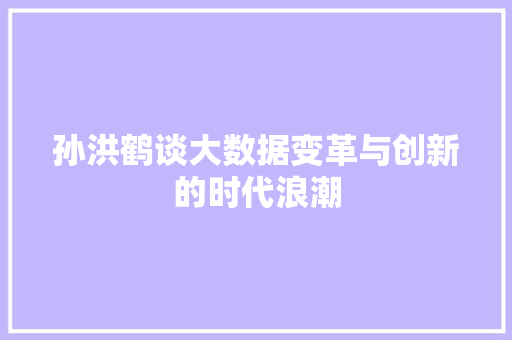 孙洪鹤谈大数据变革与创新的时代浪潮