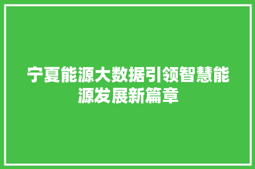 宁夏能源大数据引领智慧能源发展新篇章