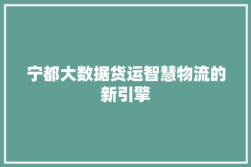 宁都大数据货运智慧物流的新引擎