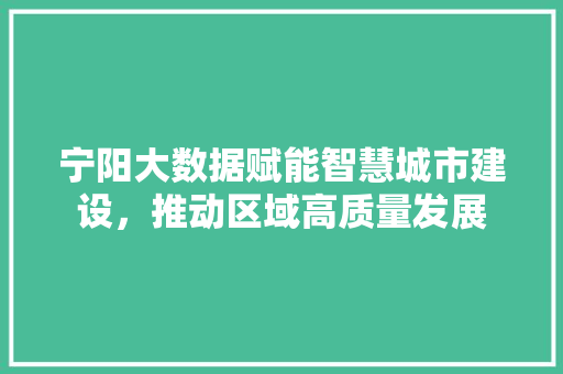 宁阳大数据赋能智慧城市建设，推动区域高质量发展