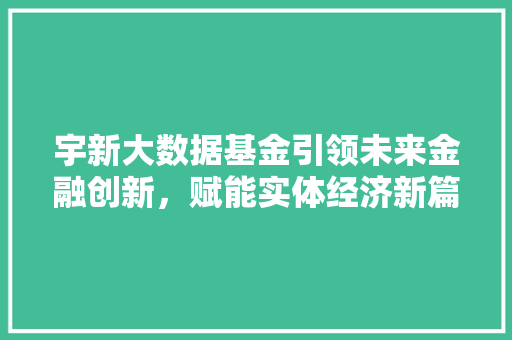 宇新大数据基金引领未来金融创新，赋能实体经济新篇章 MySQL