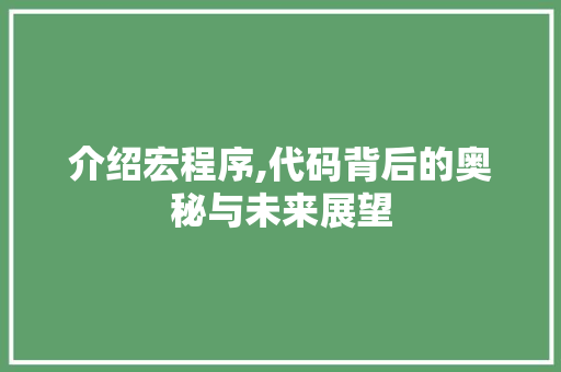 介绍宏程序,代码背后的奥秘与未来展望 缓存Redis